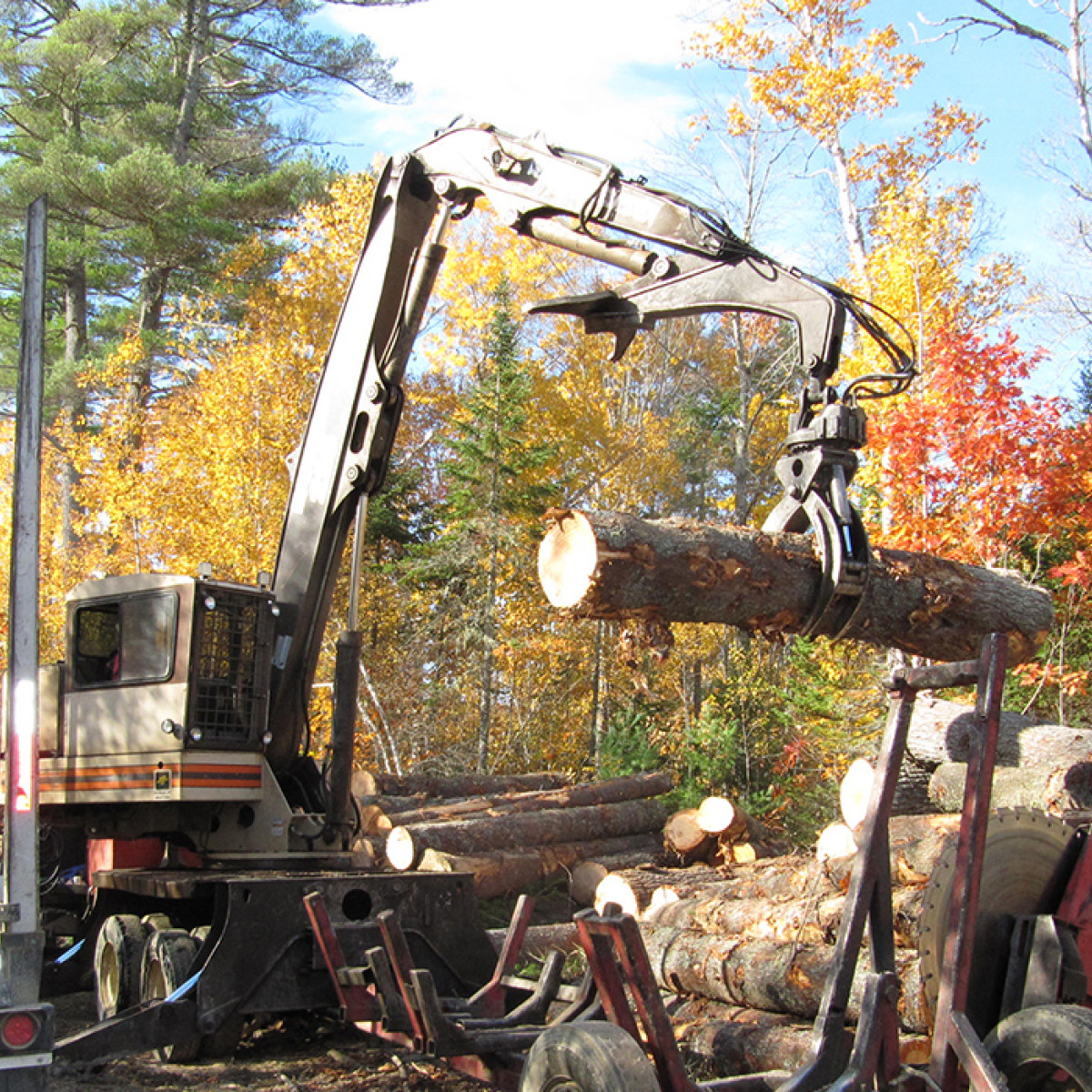Forest Management Maine Logging, Timber Harvesting, and Forest Management