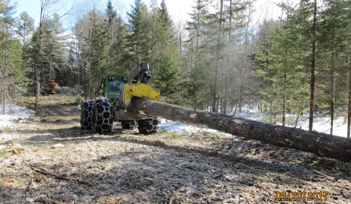 Grapple Skidder