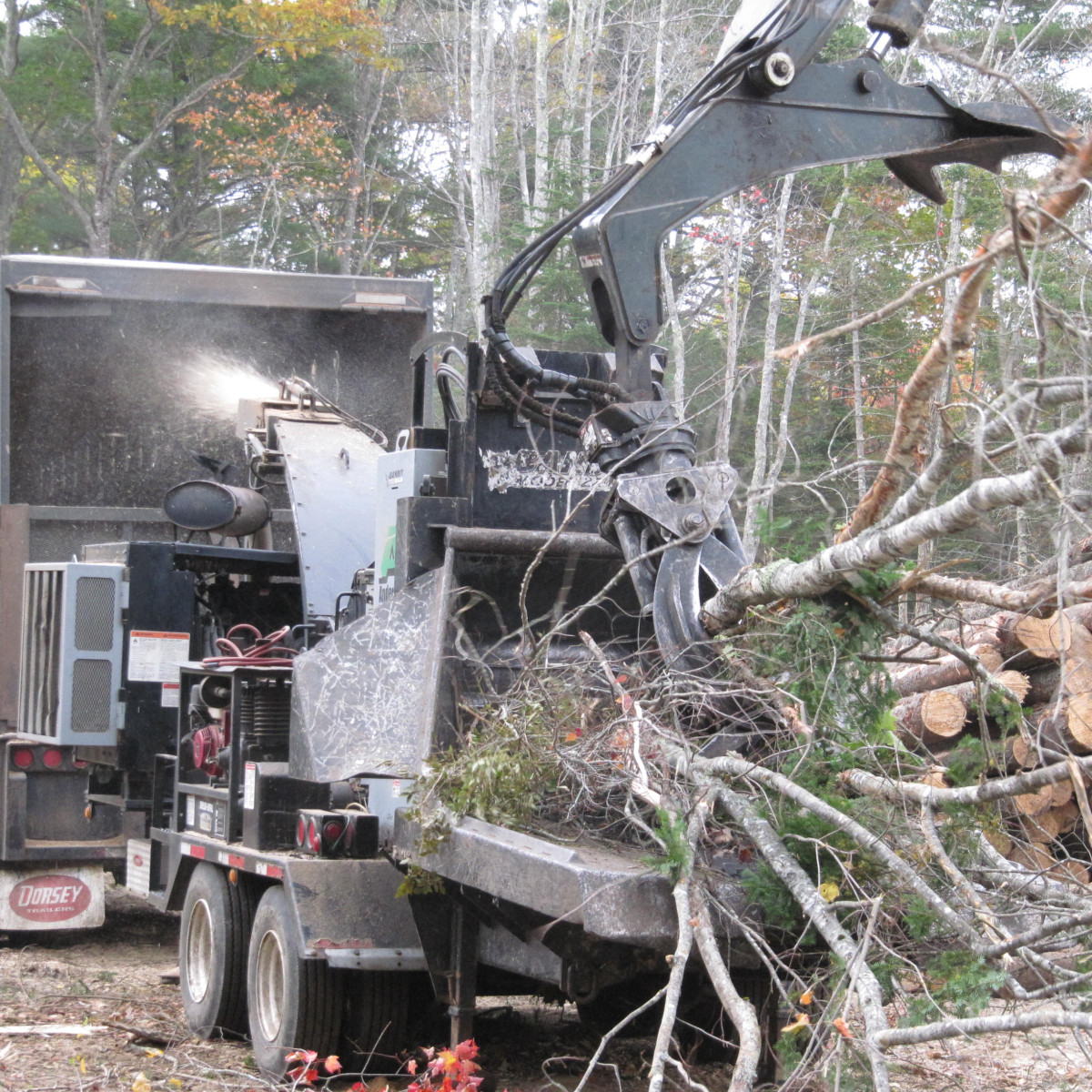 Gallery Maine Logging, Timber Harvesting, and Forest Management