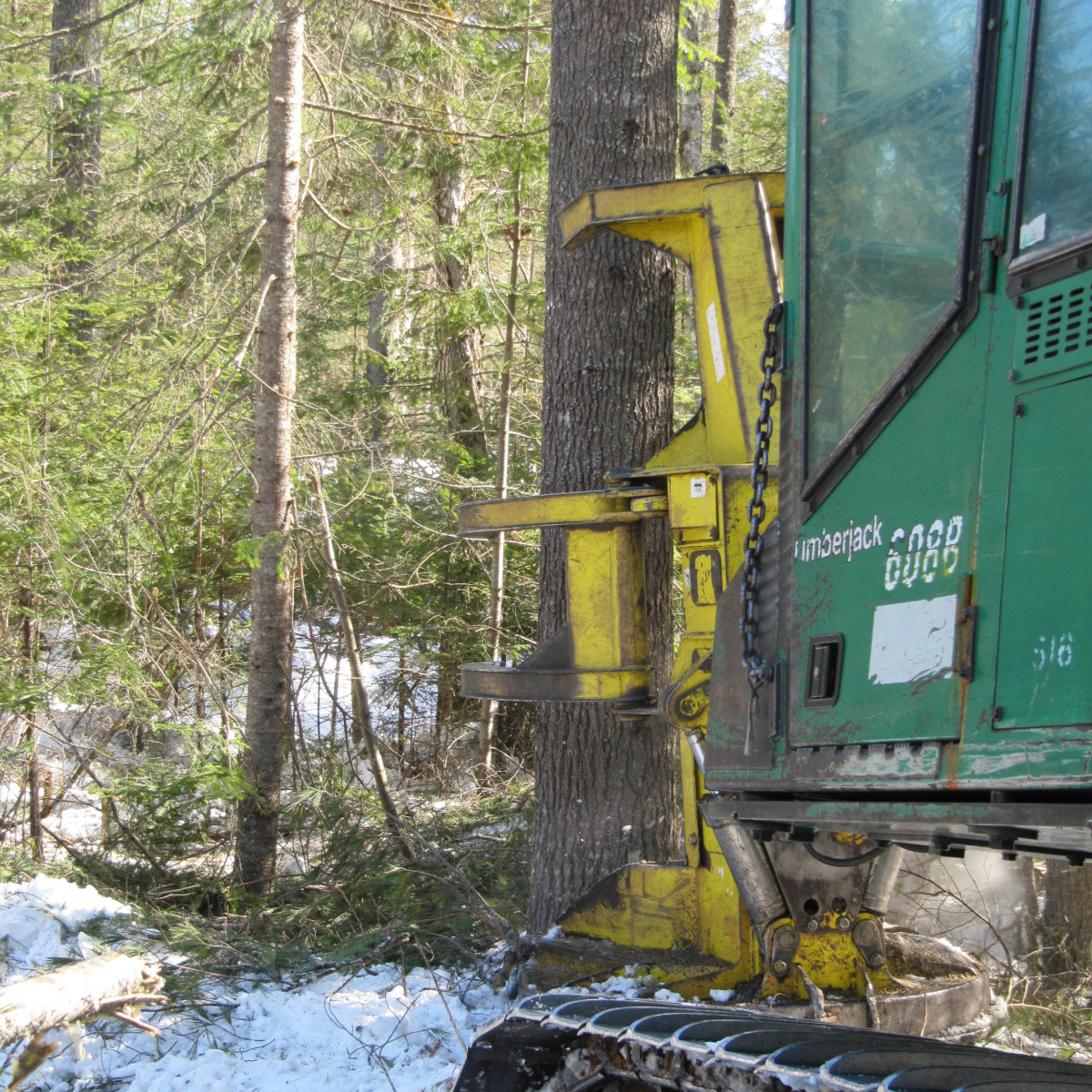 Gallery Maine Logging, Timber Harvesting, and Forest Management