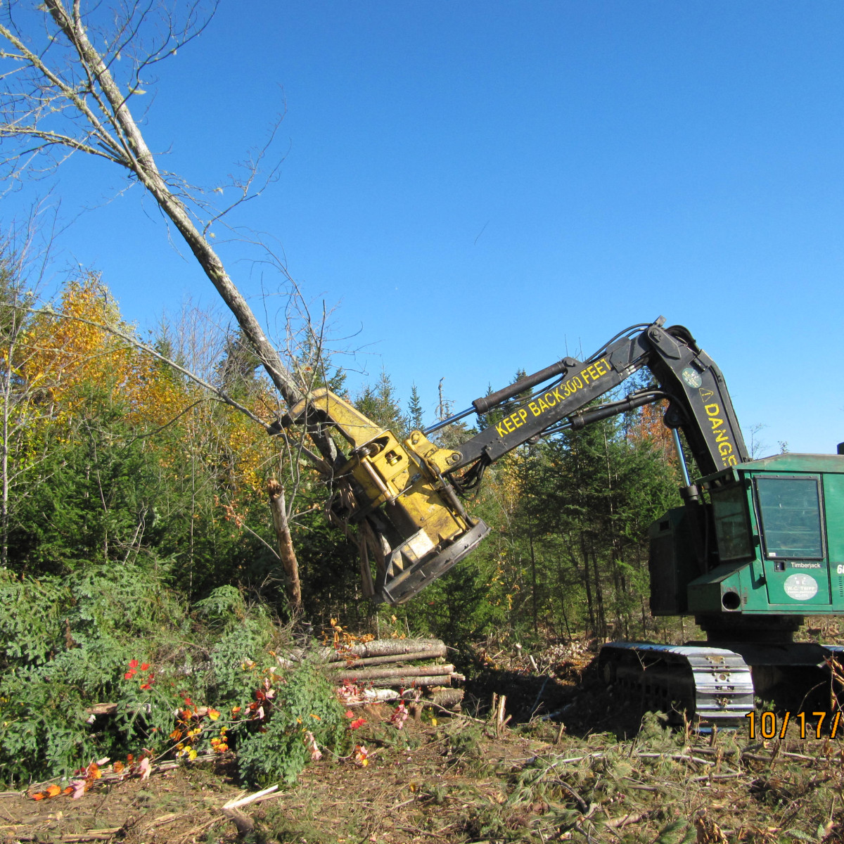 Gallery Maine Logging, Timber Harvesting, and Forest Management