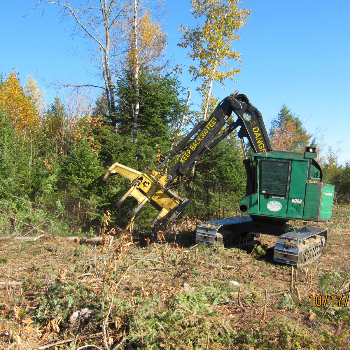 Gallery Maine Logging, Timber Harvesting, and Forest Management