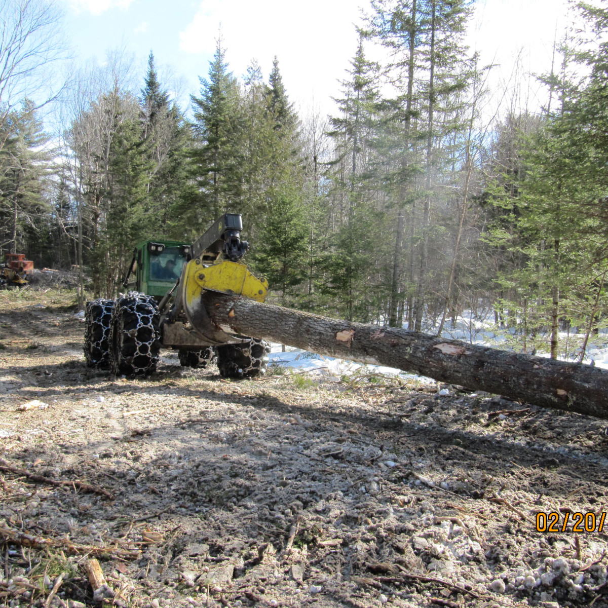 Gallery Maine Logging, Timber Harvesting, and Forest Management