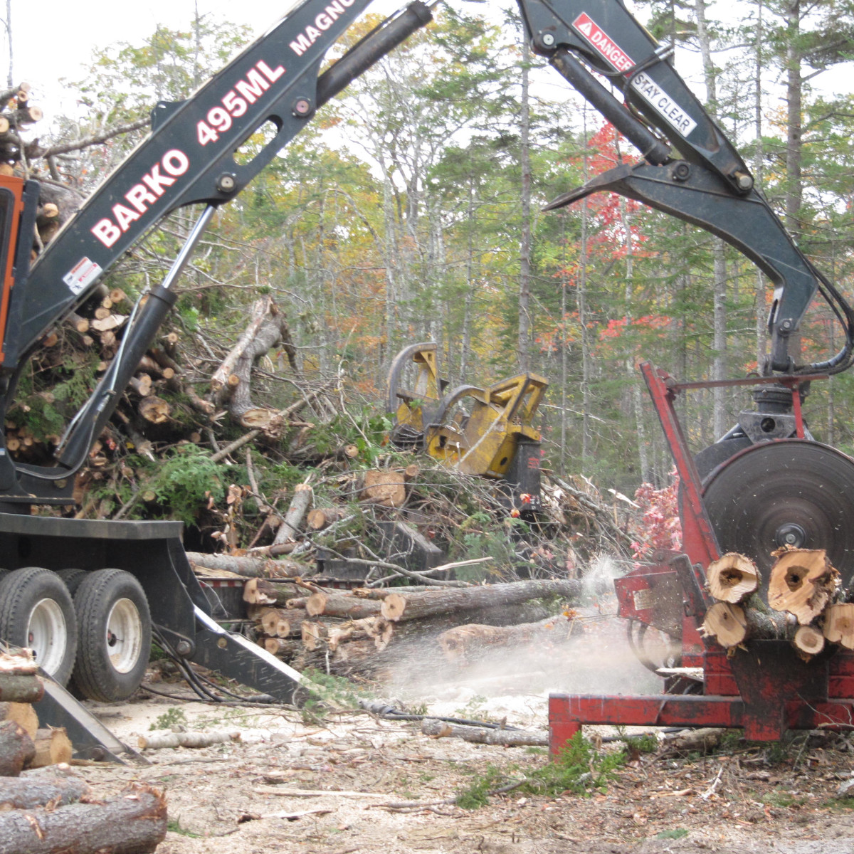 Gallery Maine Logging, Timber Harvesting, and Forest Management