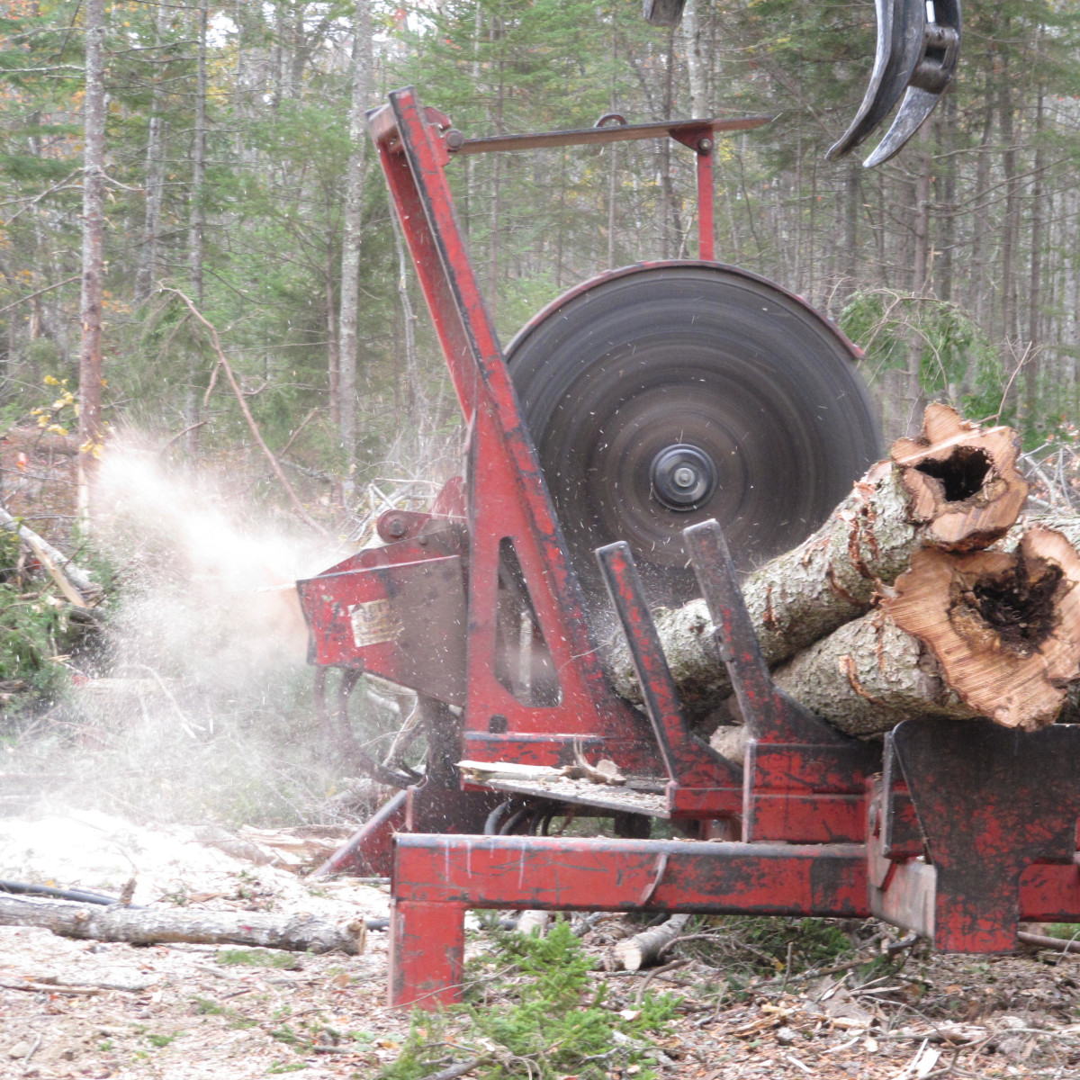 Gallery Maine Logging, Timber Harvesting, and Forest Management