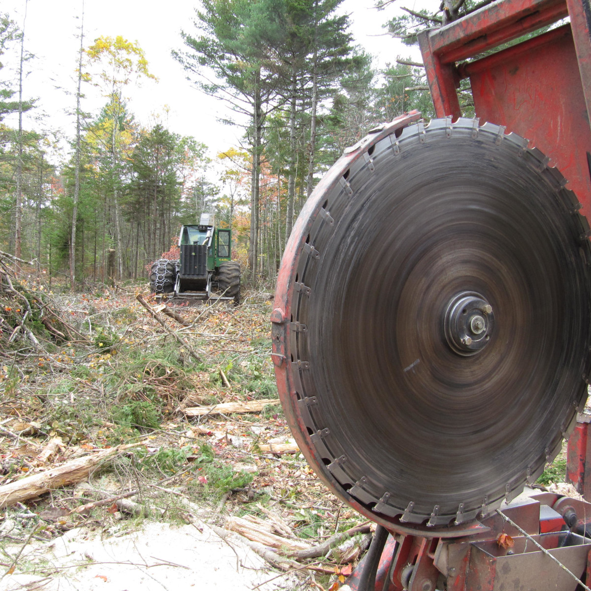 Gallery Maine Logging, Timber Harvesting, and Forest Management