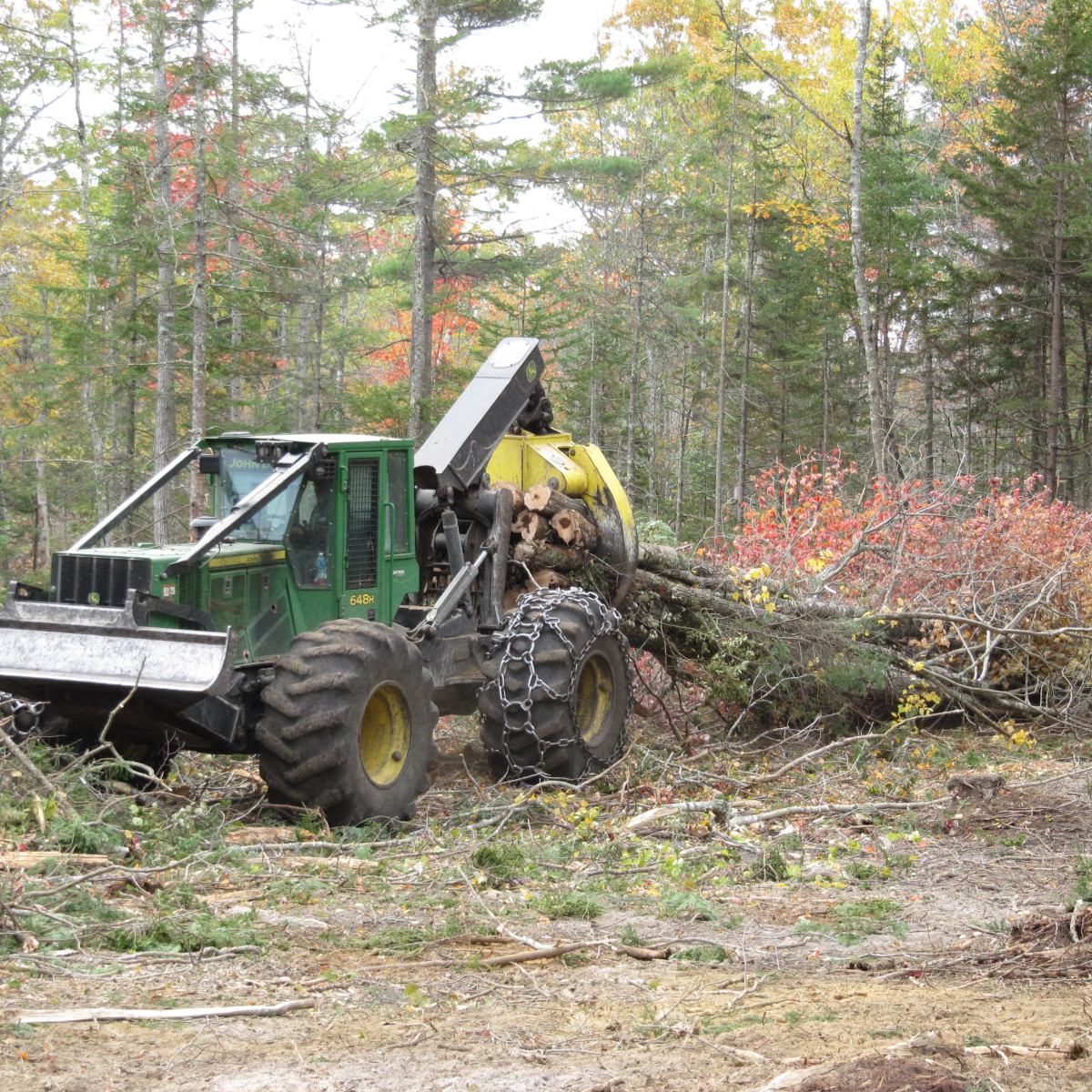Gallery Maine Logging, Timber Harvesting, and Forest Management