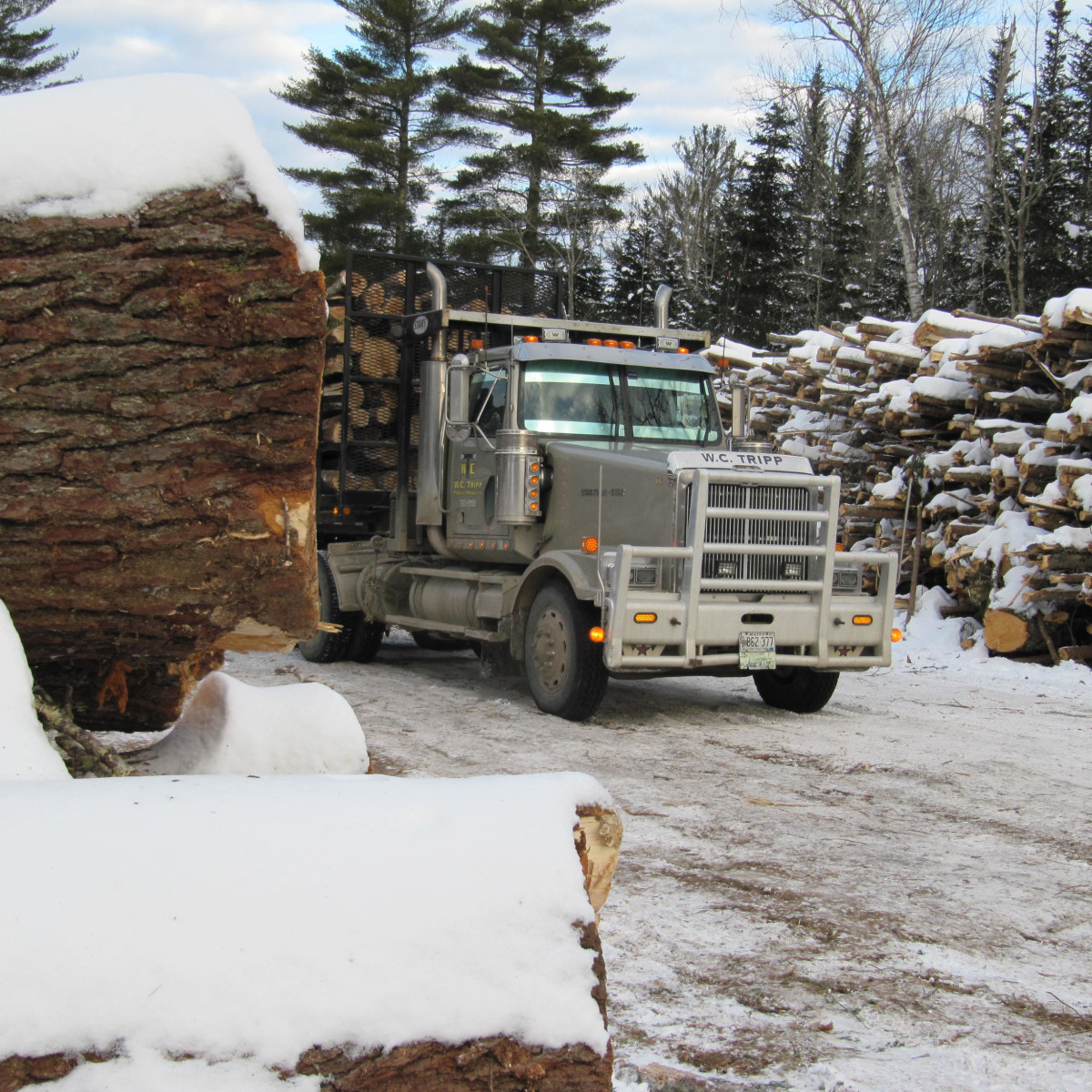 Gallery Maine Logging, Timber Harvesting, and Forest Management