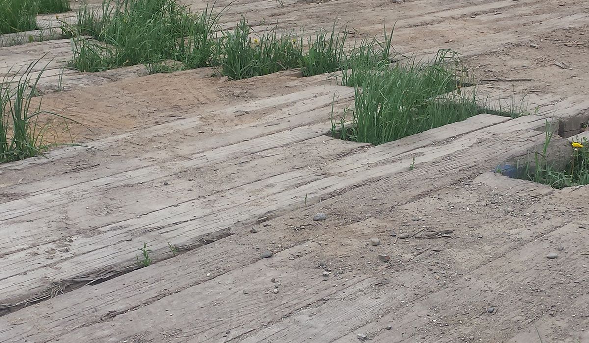 Protecting Hay Field